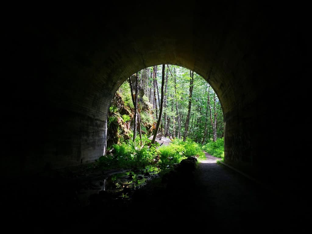 Guardando attraverso uno storico tunnel ferroviario verso la foresta soleggiata sull'Iron Goat Trail nelle Cascade Mountains