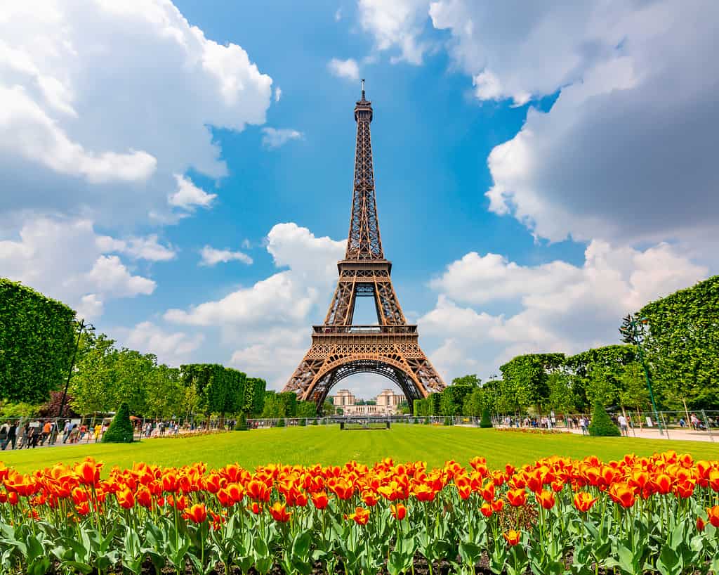 Torre Eiffel e tulipani primaverili sul Campo di Marte, Parigi, Francia
