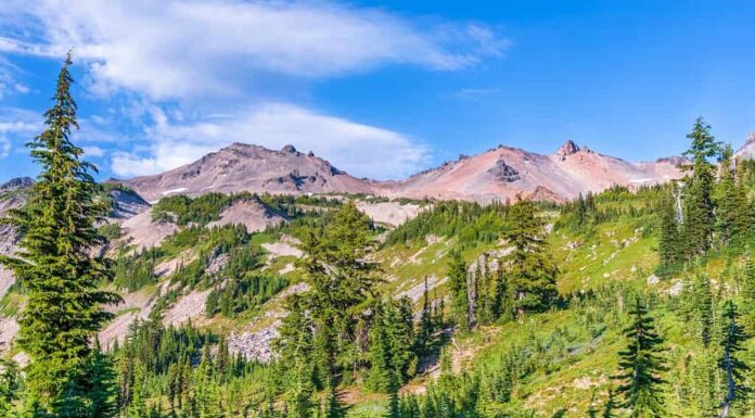 Il vecchio terreno vulcanico si erge sopra un prato alpino nella Goat Rocks Wilderness Area nello stato di Washington.