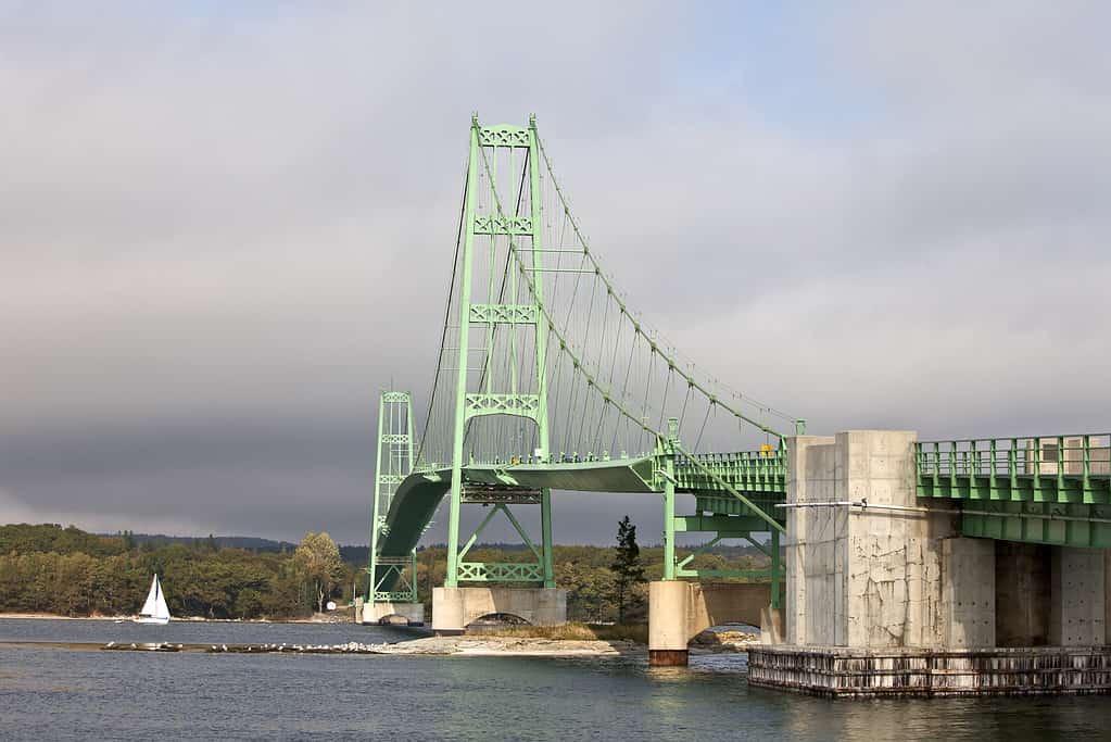 Ponte dell'Isola dei Cervi - Maine
