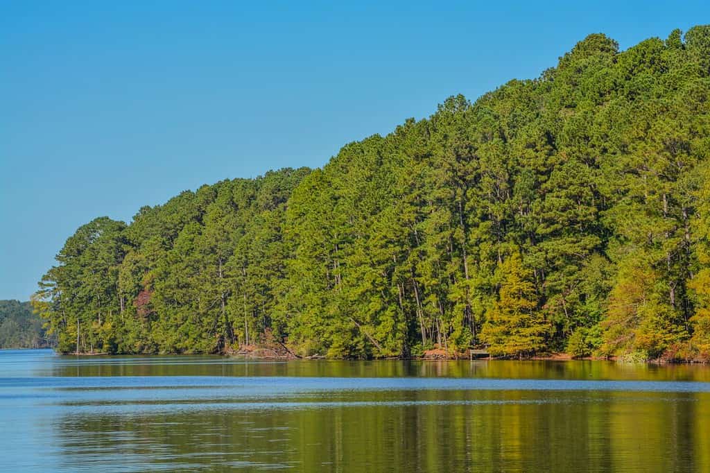 Bellissima vista del Lake Claiborne State Park, a Homer, Claiborne Parish, Louisiana