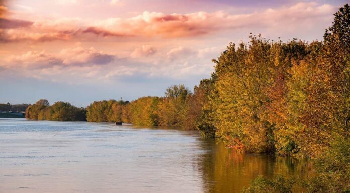 Parco statale del White River, Indianapolis, Indiana, Stati Uniti.