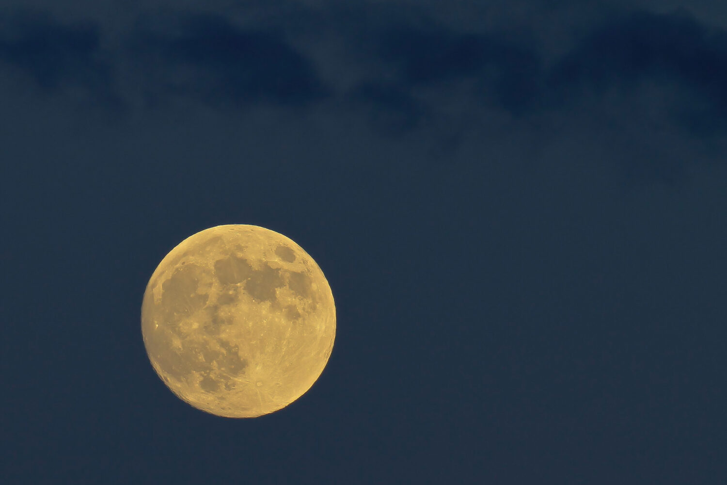 Cobscook Maine della luna piena del cacciatore