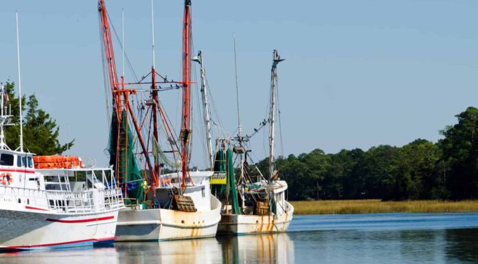 Barche da pesca nel molo