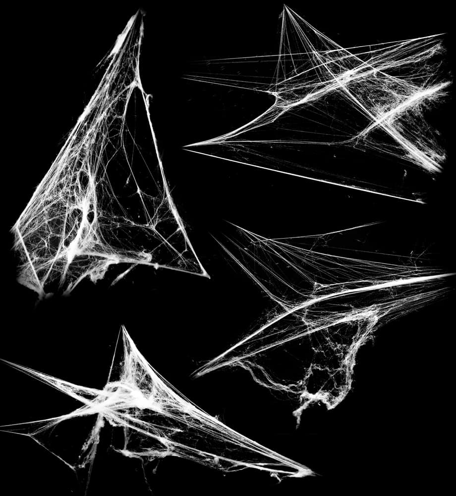 Sovrapponi l'effetto ragnatela.  Una raccolta di ragnatele isolate su uno sfondo nero.  Elementi della ragnatela come decorazione del design.  Oggetti di scena di Halloween