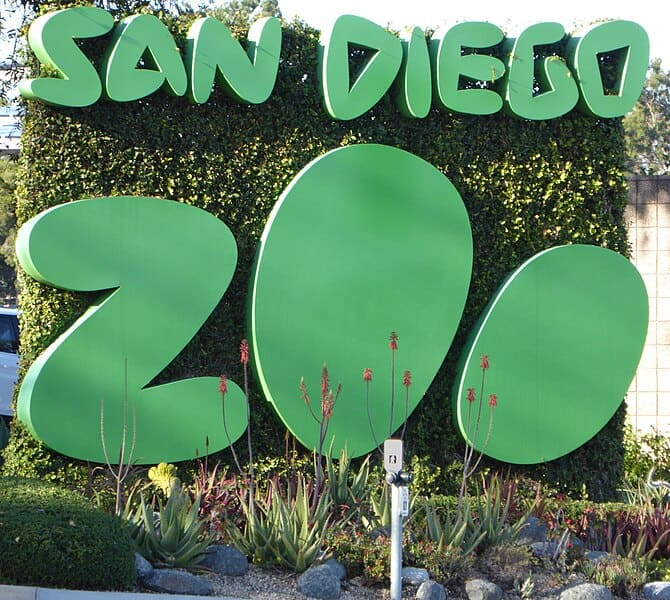 Segnale stradale dello zoo di San Diego su Park Blvd con edera completamente cresciuta.