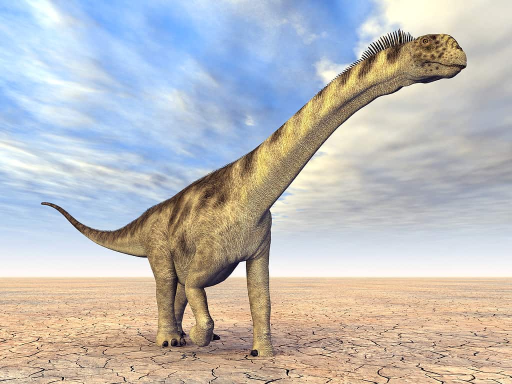 Dinosauro Camarasauro