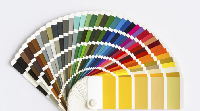 Guida alla tavolozza dei colori isolata su sfondo bianco.  Catalogo colori campione.