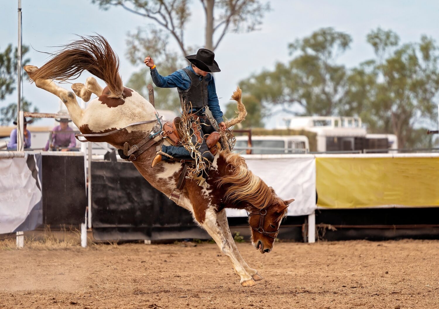 Cowboy che cavalca un bronc in controtendenza ad un rodeo di campagna in Australia