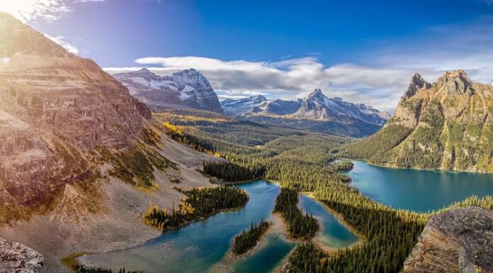 Vista panoramica del lago glaciale con le Montagne Rocciose canadesi sullo sfondo.  Giornata soleggiata autunnale.  Situato nel lago O'Hara, nel Parco nazionale Yoho, nella Columbia Britannica, in Canada.  Panorama della natura