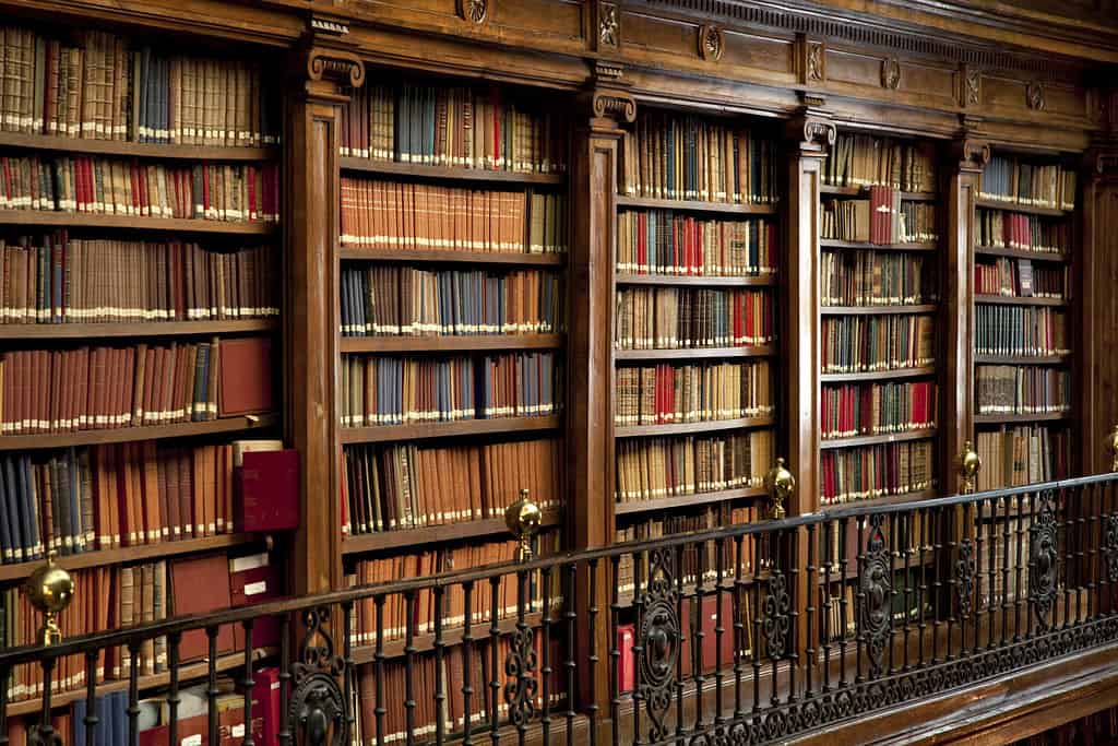 una meravigliosa biblioteca di libri antichi in Spagna