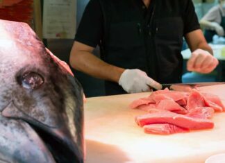Lo chef taglia il tonno rosso nel mercato Kuromon, Osaka, Giappone