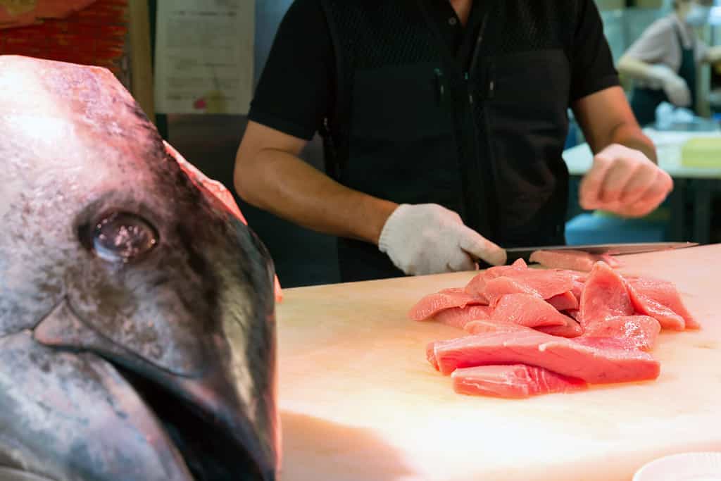 Chef che taglia il tonno rosso al mercato Kuromon, Osaka, Giappone