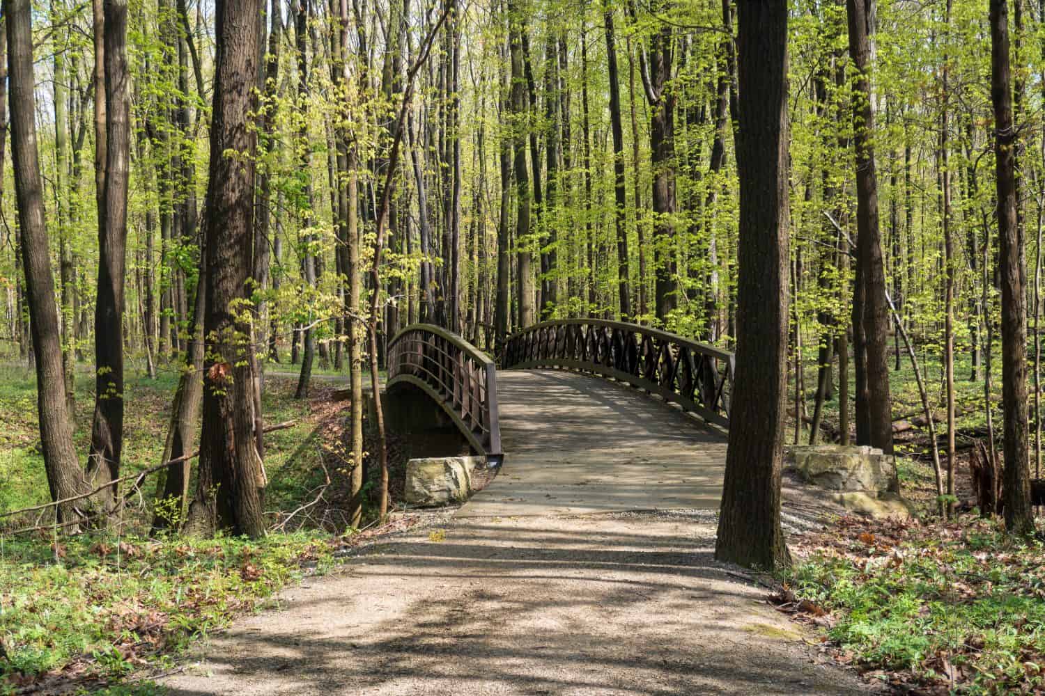 Sito storico nazionale del campo di battaglia di Fallen Timbers e Metroparks Toledo a Maumee, Ohio.  La battaglia si concluse con la vittoria americana sui nativi americani e sugli avversari britannici e pose fine alla guerra dell'India nordoccidentale. 