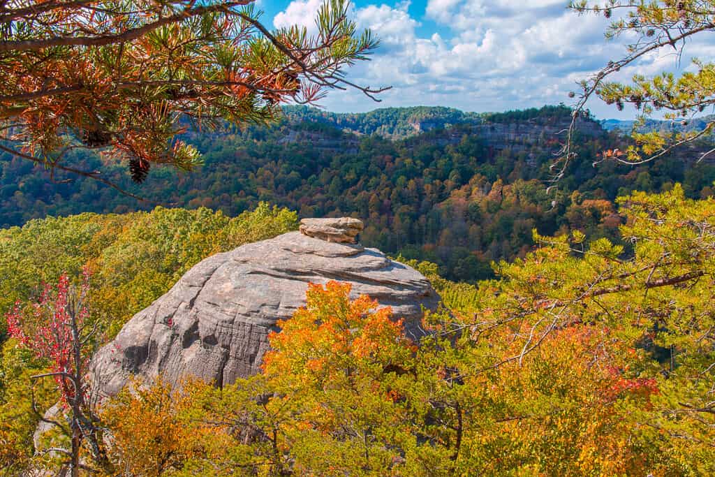 Roccia del tribunale a Red River Gorge, Kentucky.  Foresta nazionale Daniel Boone in autunno.