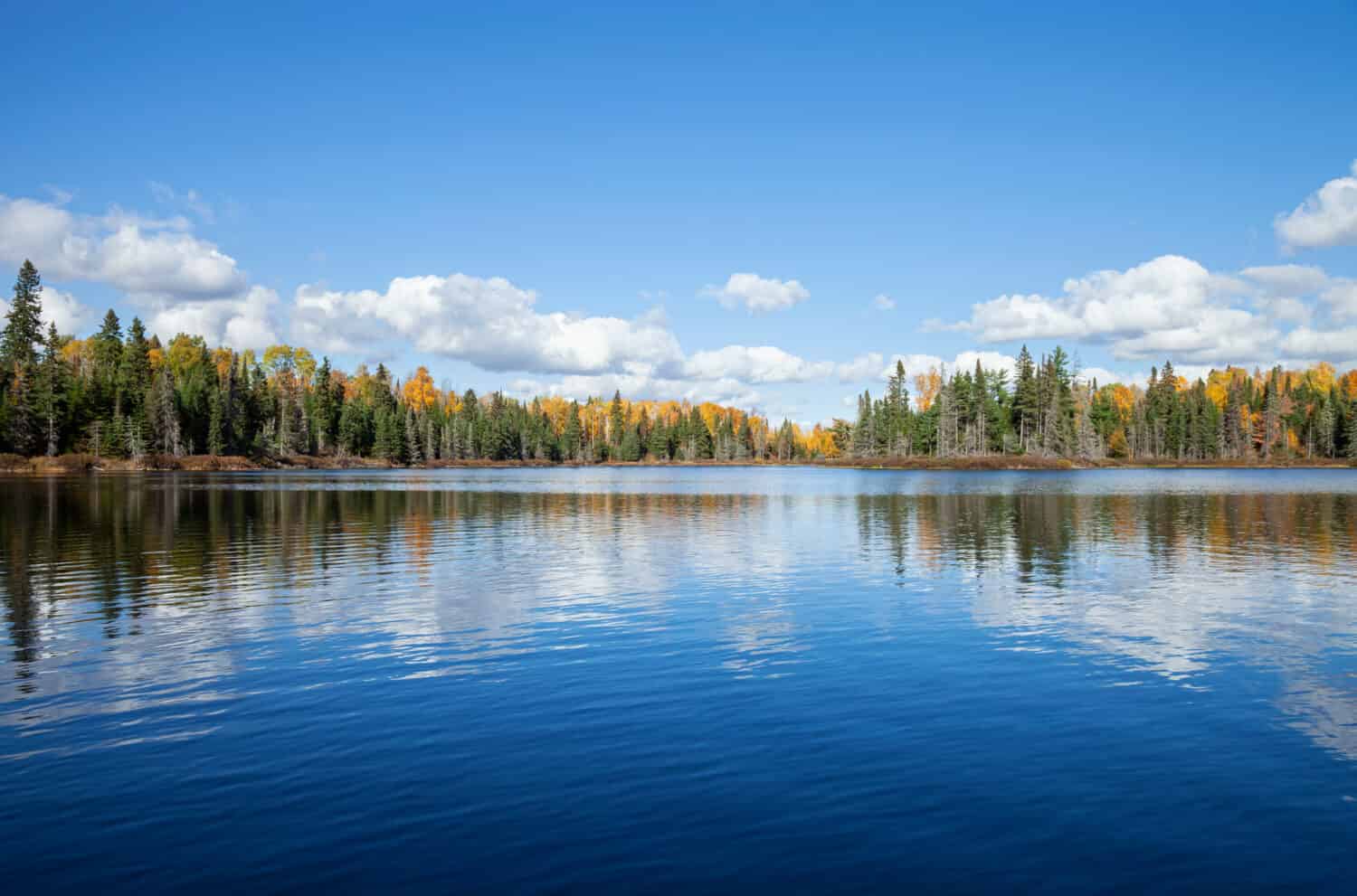 Lago blu con limite del bosco in colore autunnale in un pomeriggio soleggiato nel nord del Minnesota