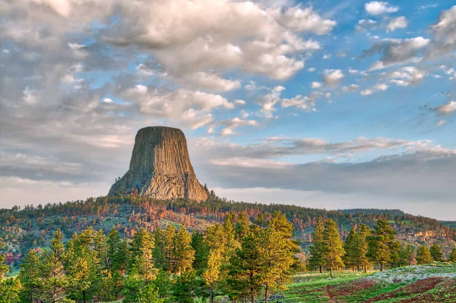 Monumento nazionale della Devil's Tower nel Wyoming sotto il cielo nuvoloso del primo mattino con la foresta in primo piano