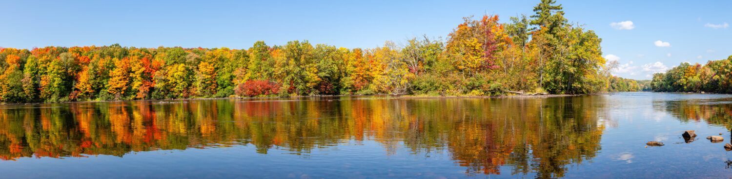 Riflessione di una foresta colorata nel fiume Wisconsin, panorama