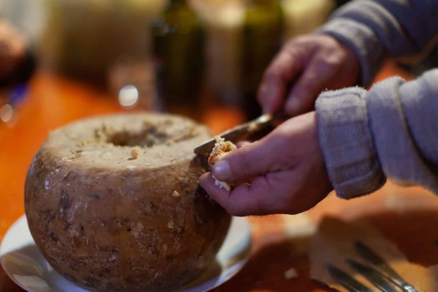 Famoso formaggio Casu Marzu o Casu Martzu con vermi della Sardegna Italia da vicino.  Questo pecorino ha superato la tipica fermentazione, ed è più vicino ad uno stadio di decomposizione.  Formaggio con vermi.