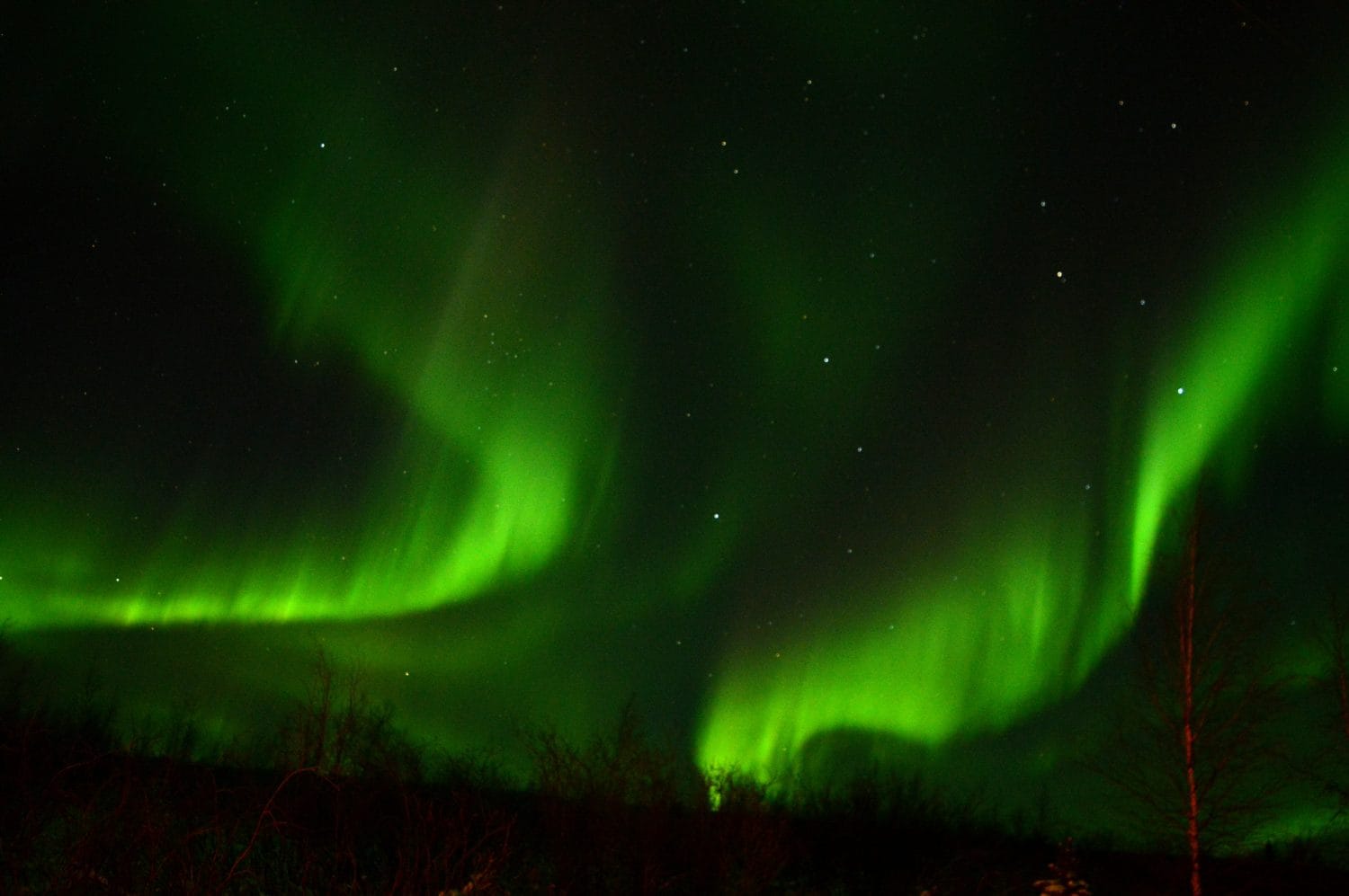 L'aurora boreale si muove a spirale sopra l'autostrada Inuvik - Tuktoyaktuk.