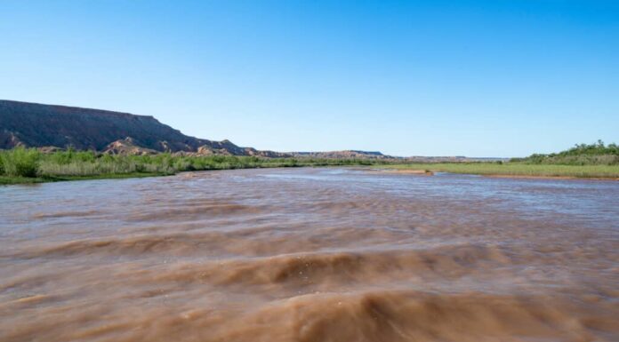 Acque marroni fangose ​​del fiume Virgin a sud di Bunkerville, Nevada, poco prima che confluisca nel lago Mead e nel fiume Colorado.