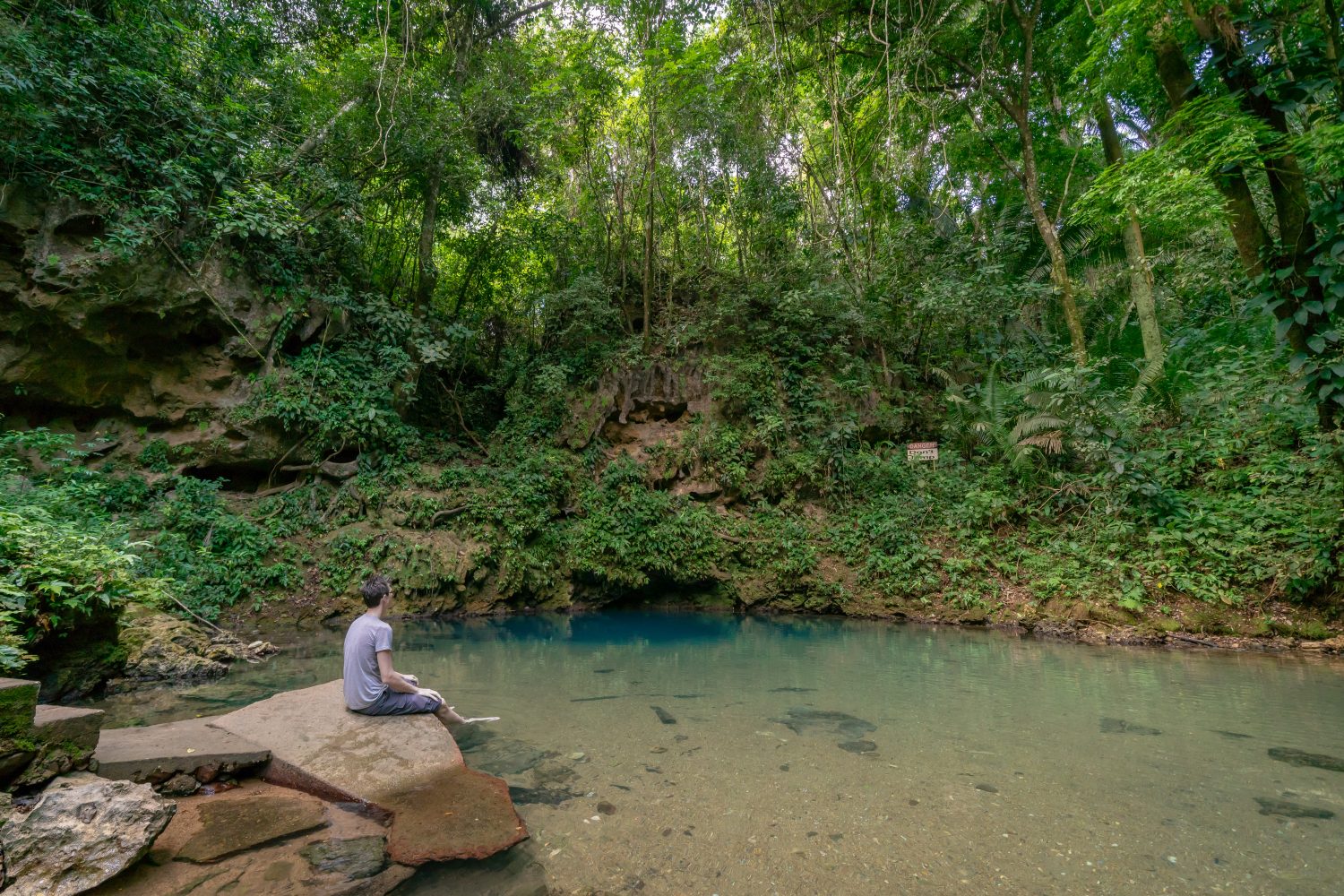 Giovane uomo che si affaccia sul punto di nuoto del parco nazionale Blue Hole in Belize 