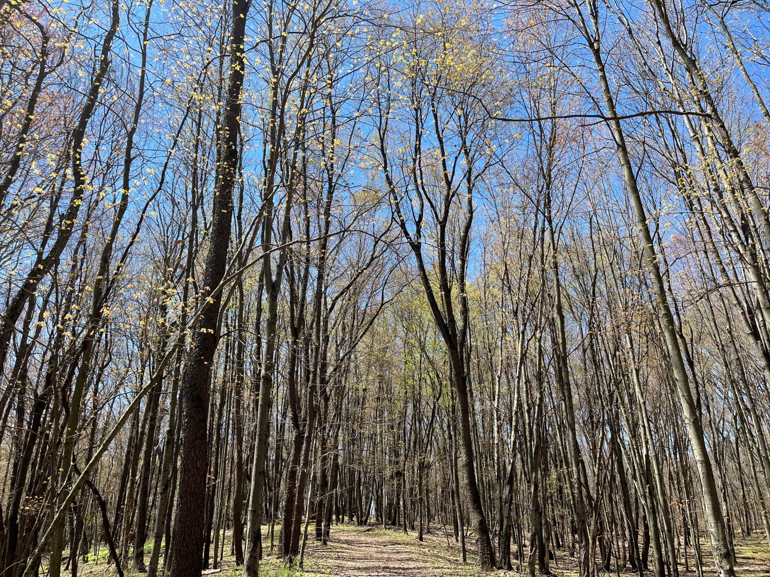 Area di gioco dello stato di Gourdneck - Portage, Michigan