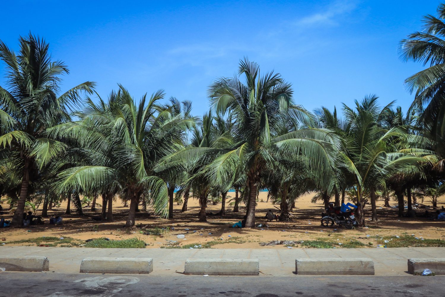 Mare dell'oceano con le palme e la spiaggia sabbiosa nel Togo, Africa occidentale 