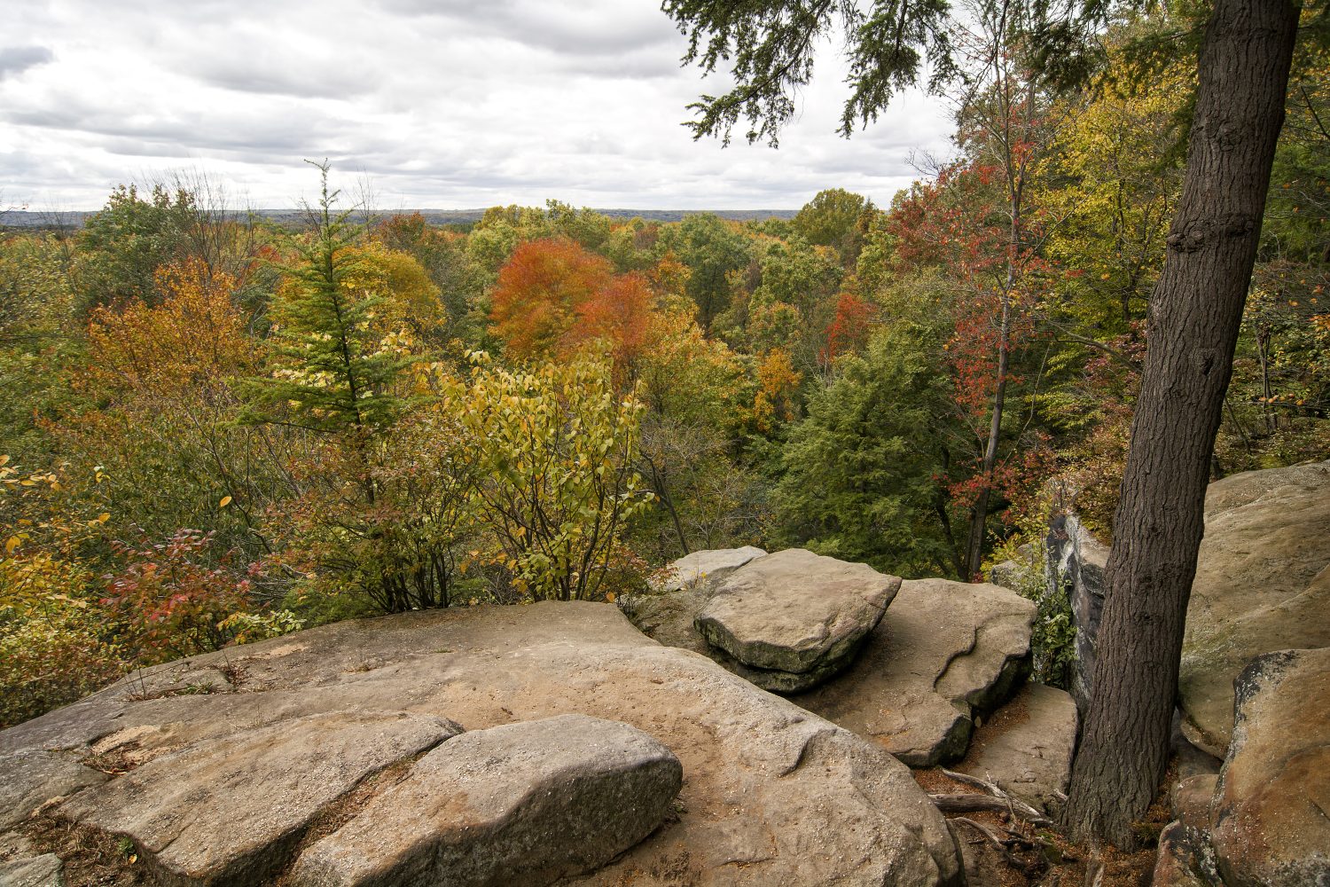 La vista autunnale dalle sporgenze si affaccia sul parco nazionale della Cuyahoga Valley vicino a Cleveland, Ohio.