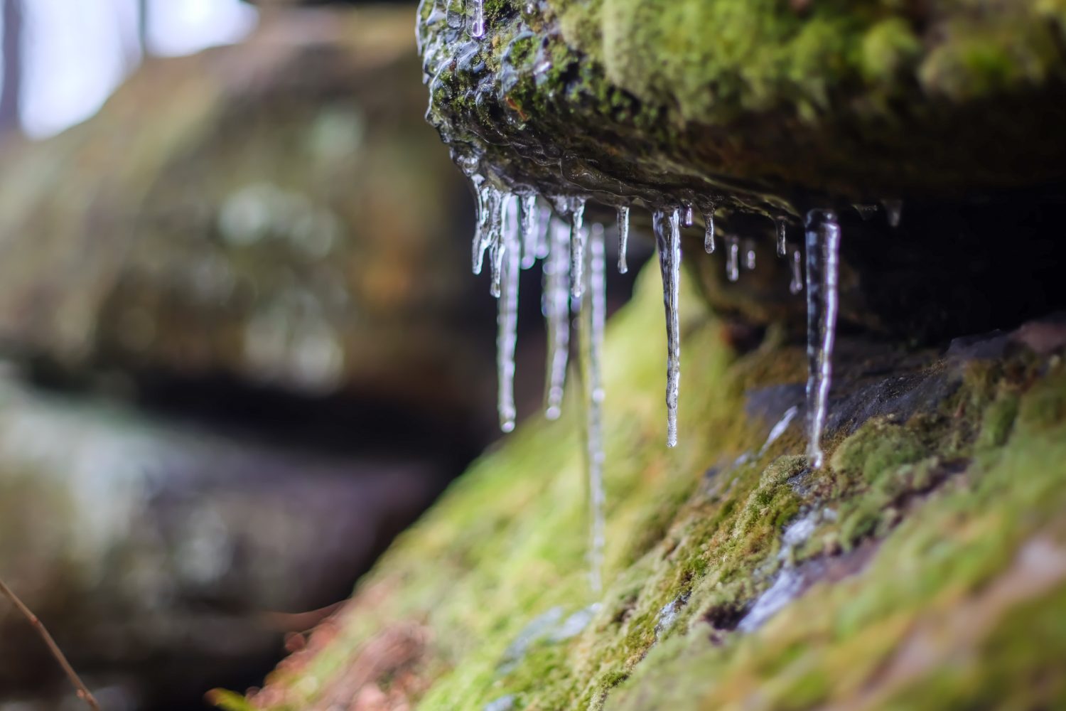 L'acqua gocciola dai ghiaccioli alle Virginia Kendall Ledges nel Parco nazionale della Cuyahoga Valley, Ohio.