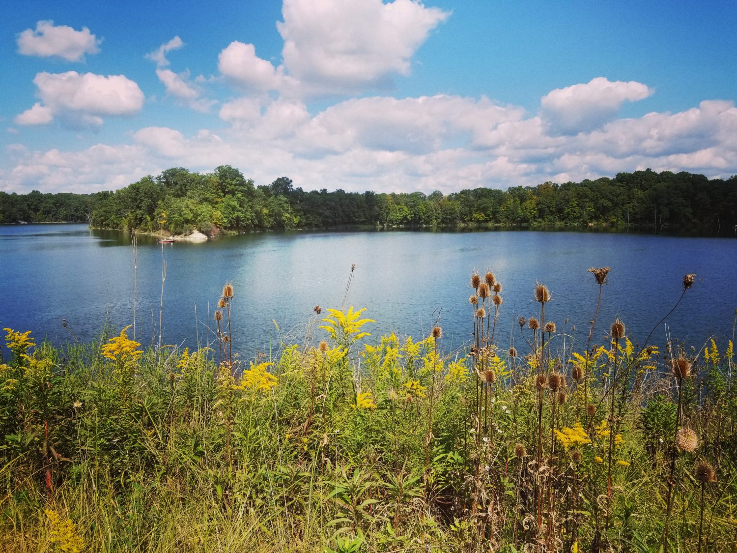 Bella giornata estiva al Caesar's Creek State Park in Ohio