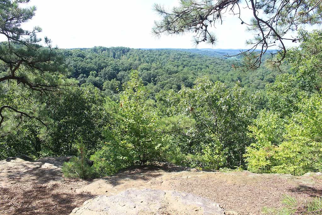 Jacob's Ladder si affaccia nella Christmas Rocks State Nature Preserve, Ohio. 