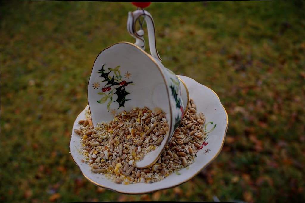 Una bella mangiatoia per uccelli con tazza da tè con motivo agrifoglio appeso e vista dall'alto piena di semi di uccelli.