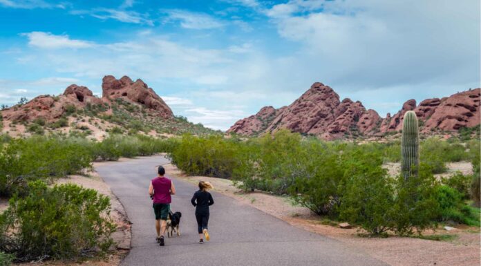 Serie del parco del cane - Phoenix Arizona