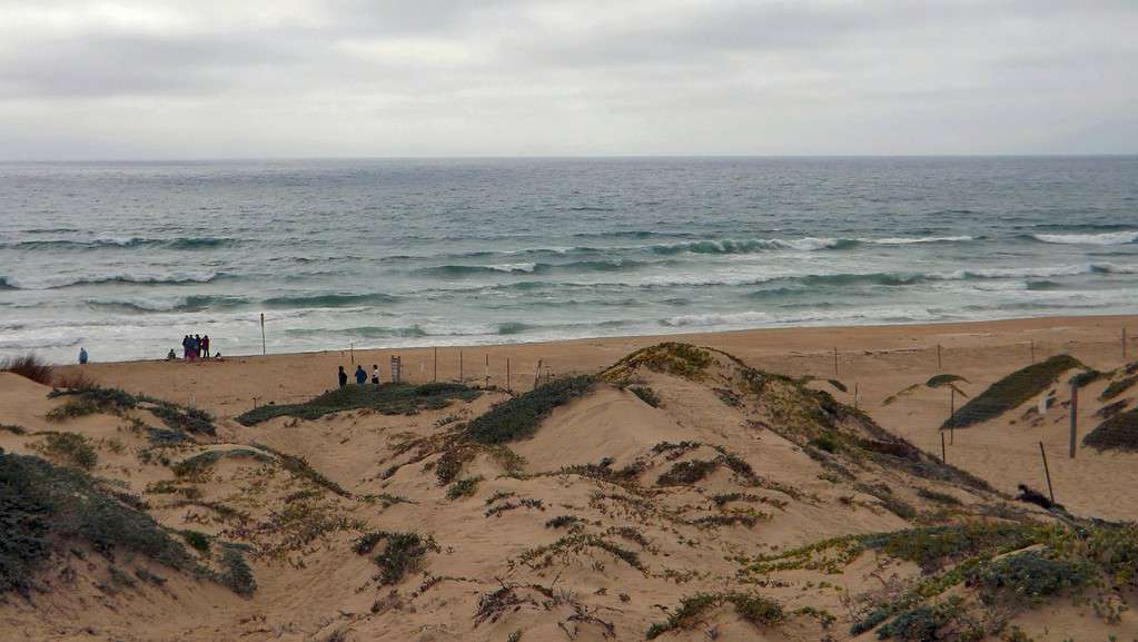 Lago Oso Flaco, parte dell'area ricreativa veicolare statale di Oceano Dunes