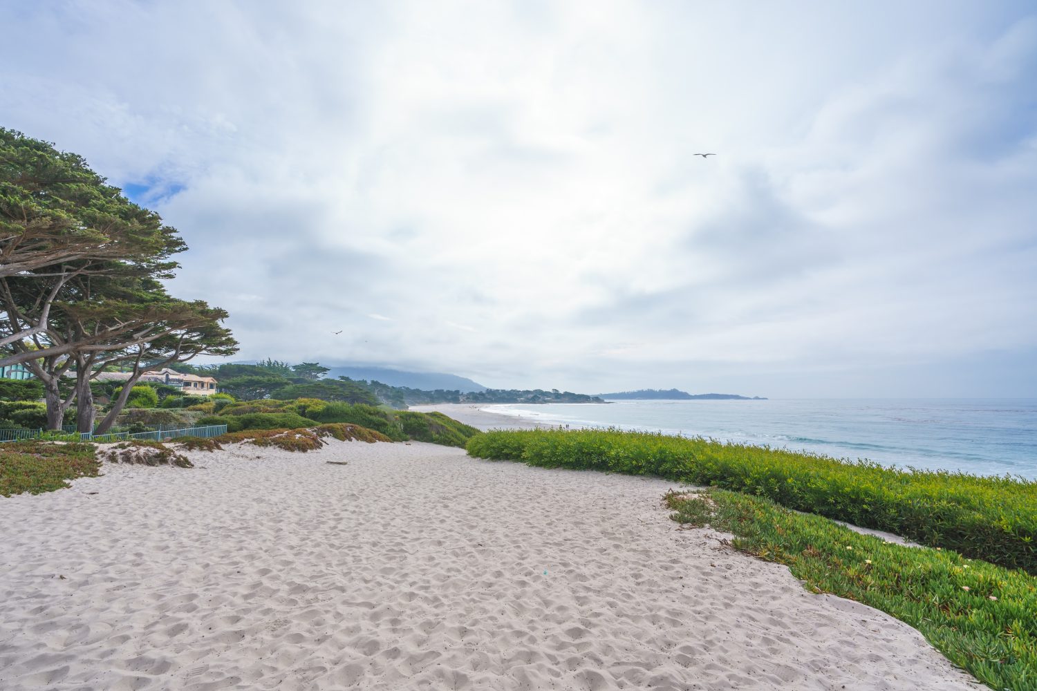 Carmel Beach, una lunga, ampia spiaggia di sabbia bianca.  Carmel Beach è uno dei luoghi più iconici della costa centrale della California