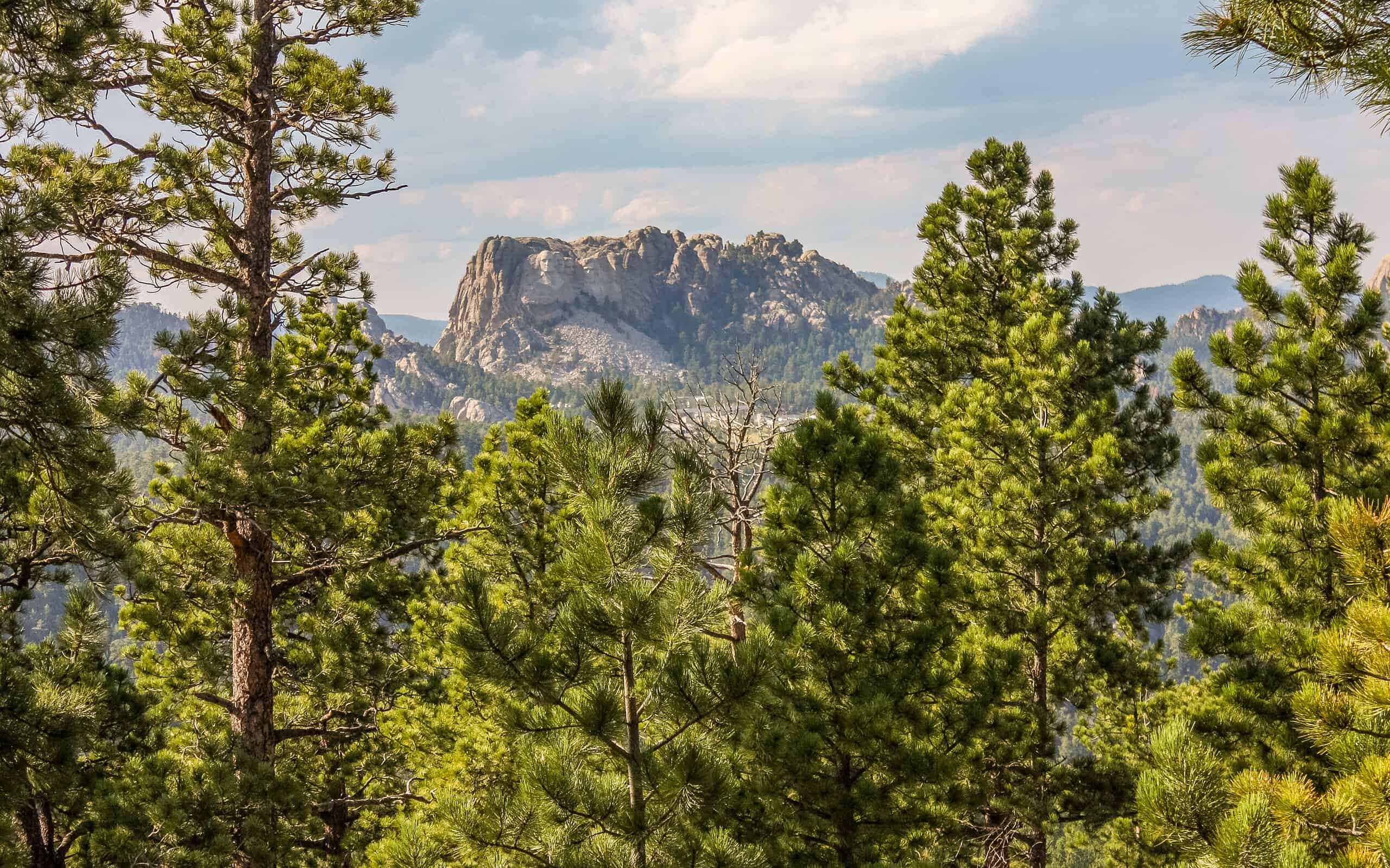 Vista in lontananza del Monte Rushmore nella foresta delle Black Hills, South Dakota