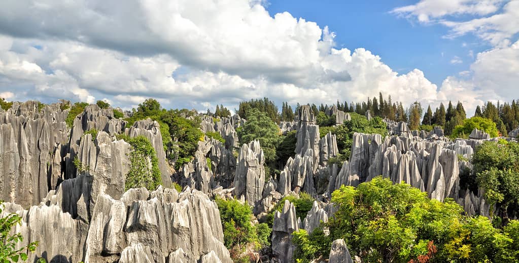 Bellissimo paesaggio della Cina Foresta di pietra a Kunming, nella provincia dello Yunnan.