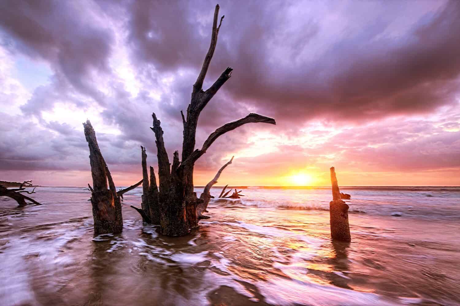 Una vista mozzafiato degli alberi morti nell'oceano dell'alta marea sull'isola di Sapelo, in Georgia, durante l'alba
