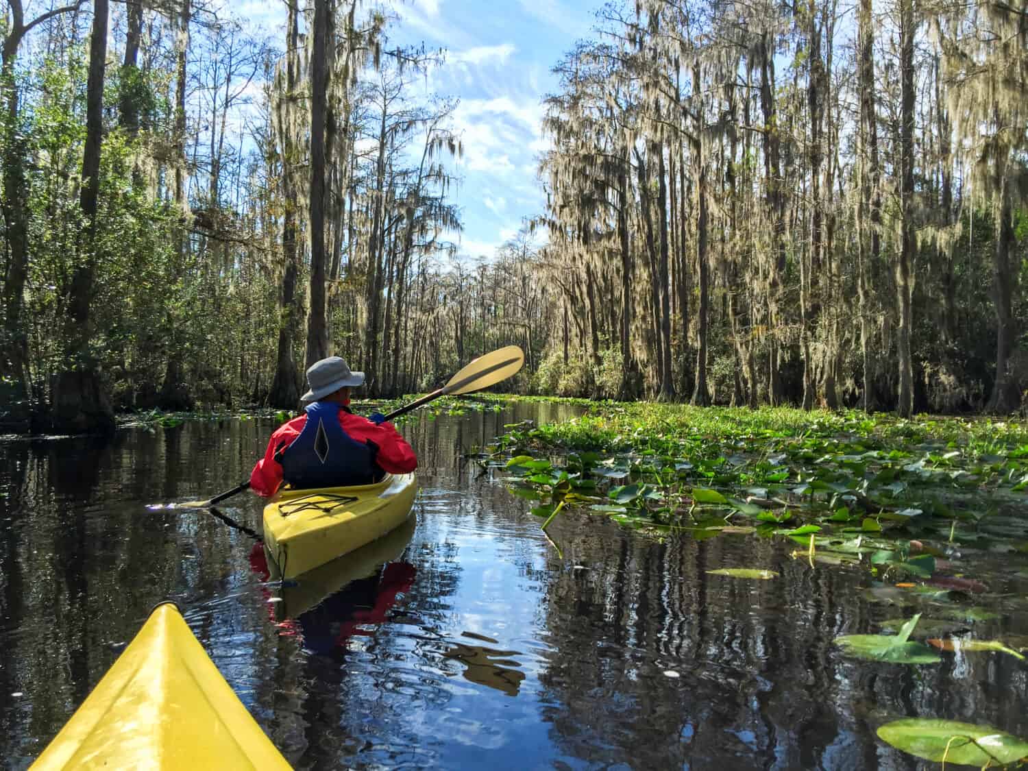 Coppia di kayak nella palude di Okefenokee in Georgia, Stati Uniti.