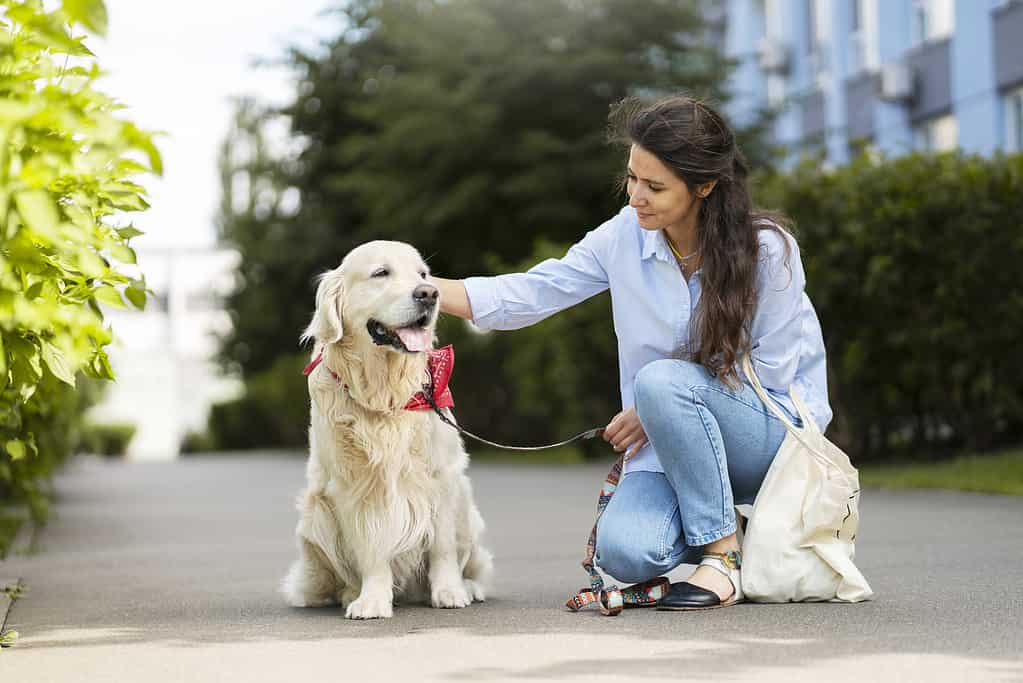 Sorridente donna latina che accarezza il suo amato cane golden retriever sul concetto di cura degli animali da strada