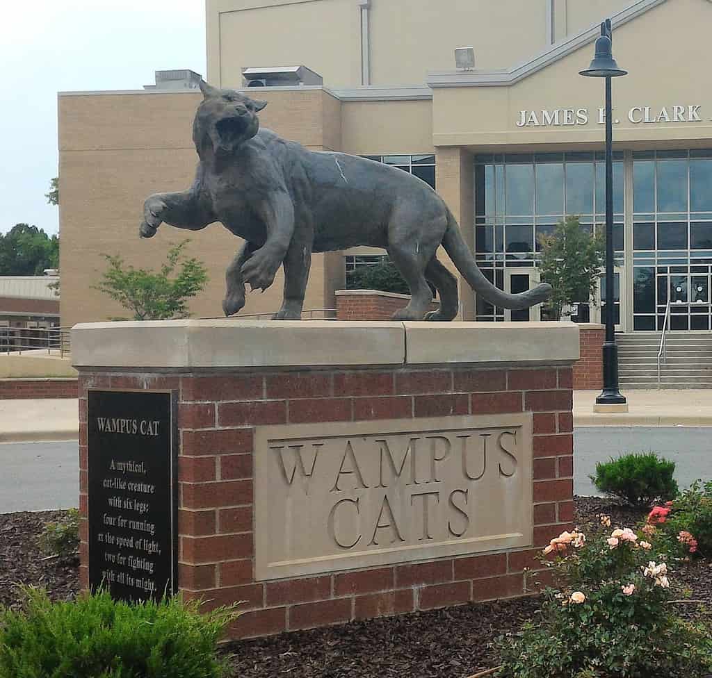 Il gatto Wampus viene avvistato più spesso nel West Virginia.