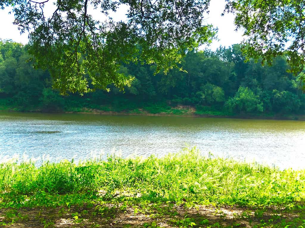 Bellissima vista del fiume Ouachita in Columbia, Louisiana