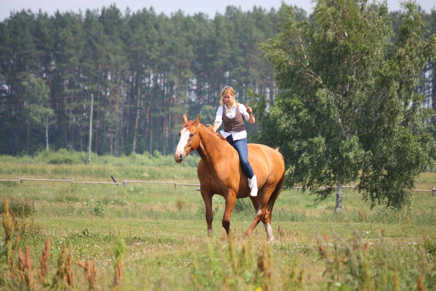 Bella donna bionda che monta cavallo castano senza sella e briglia