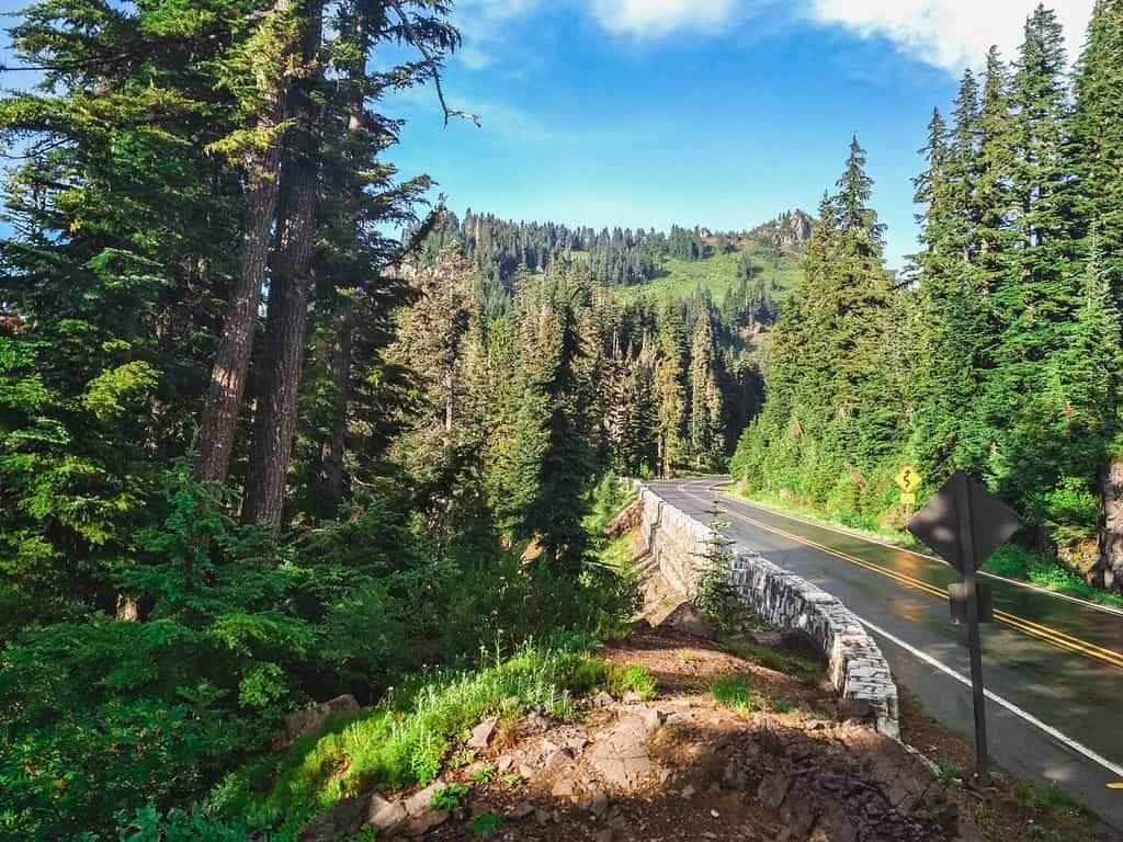 Natura dello Stato di Washington negli Stati Uniti.  Foresta nazionale di Okanogan-Wenatchee.