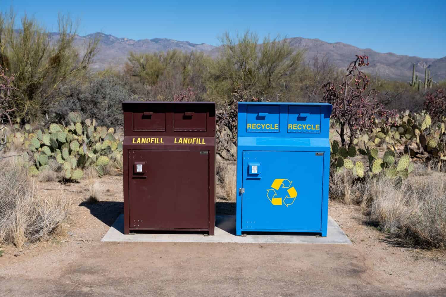 Cestini e contenitori per il riciclaggio nel deserto dell'Arizona nel Parco nazionale del Saguaro