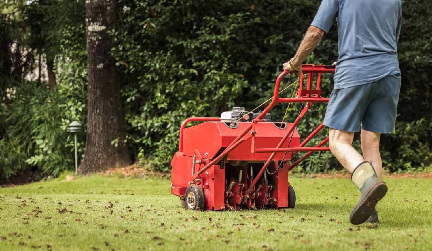 Uomo che utilizza una macchina di aerazione alimentata a gas per aerare il cortile residenziale dell'erba.  Giardiniere che utilizza attrezzature per l'aerazione del prato per la manutenzione del manto erboso.