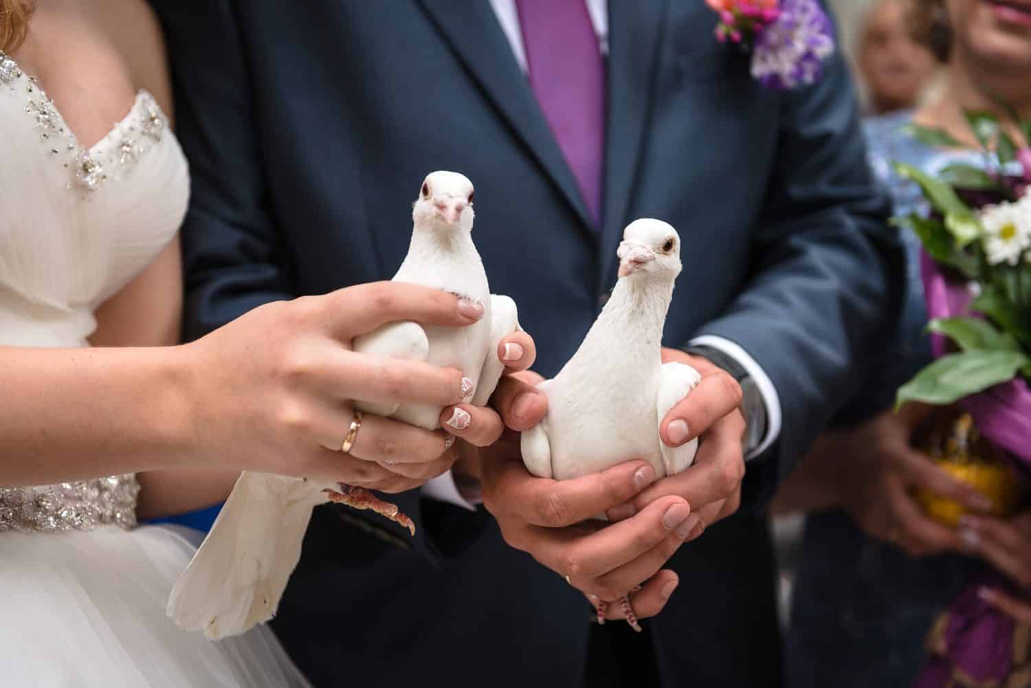La sposa e lo sposo tengono le colombe bianche