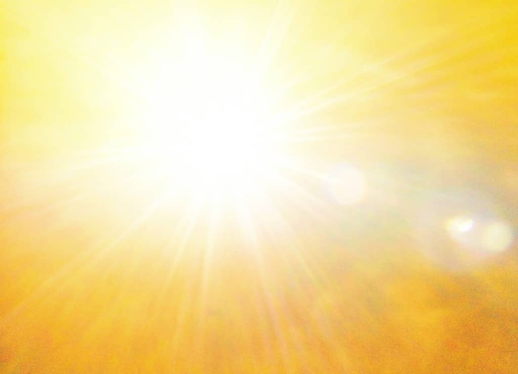 la luce del sole è molto calda.  stagione estiva