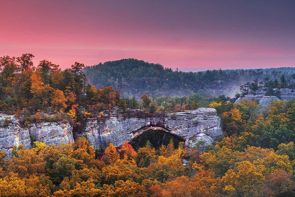 Daniel Boone National Forest, Kentucky, Stati Uniti d'America presso l'Arco Naturale al tramonto in autunno.